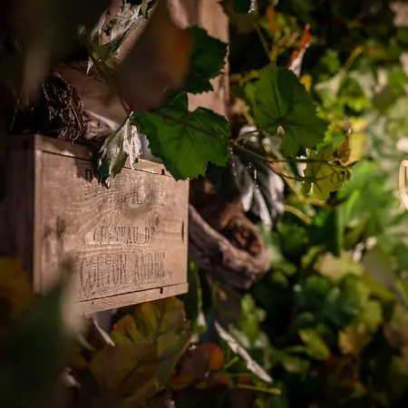 La Bastide Du Rocher Boutique Hôtel&spa