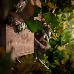 La Bastide Du Rocher Boutique &